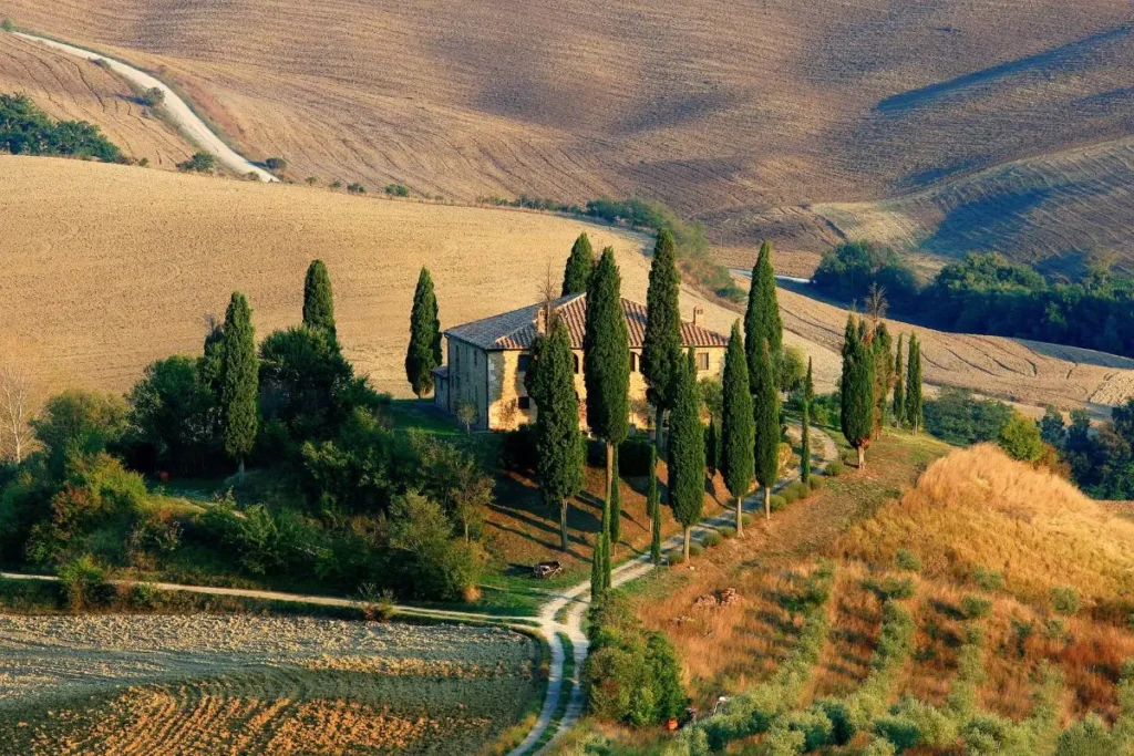 a house on a hill with trees