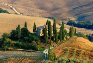 a house on a hill with trees