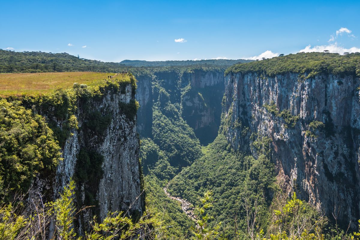 🏘️ Urubici: O Refúgio na Serra que Encanta Visitantes do Mundo Todo
