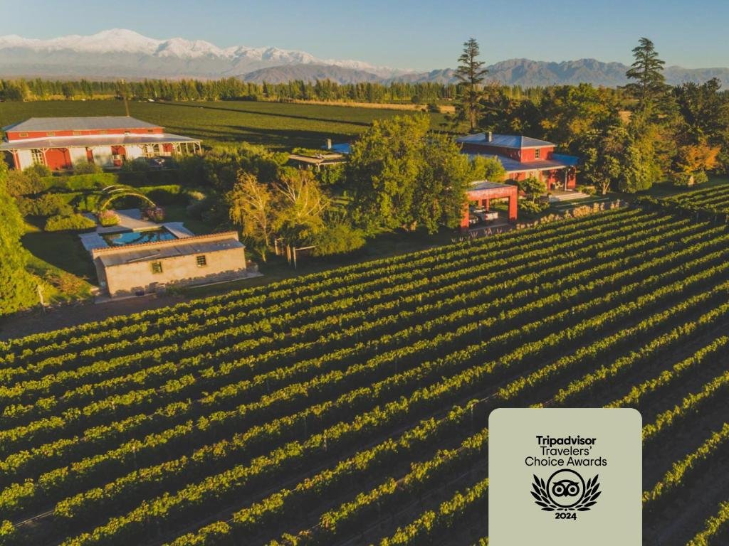 Mendoza , Argentina Sensorial: Os Segredos da Capital do Vinho Revelados